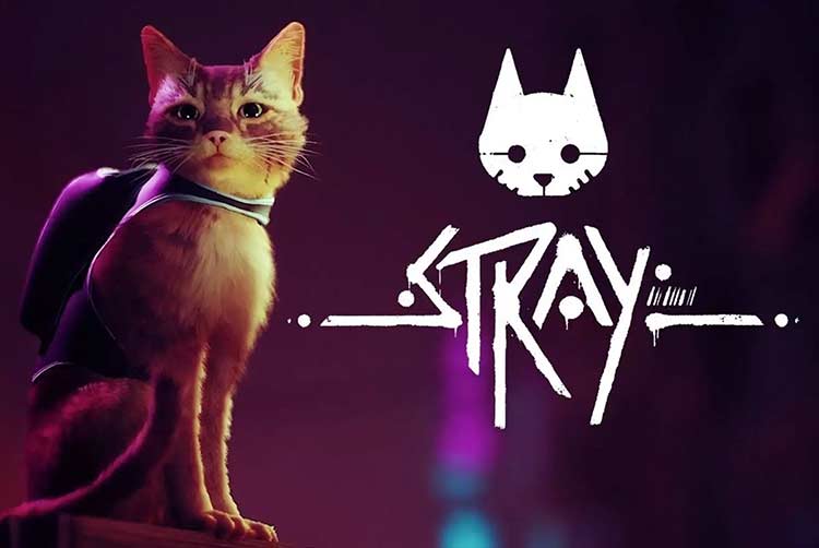 迷失（Stray）中文版，直接玩