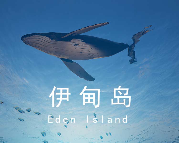 伊甸岛（Eden lsland）中文版，直接玩